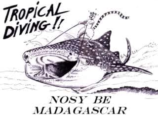 Tropical Diving Nosy Be Madagascar